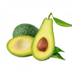 Hummingbird notebook