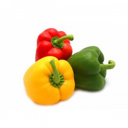 Twirl White Dial Ladies