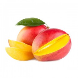 Samson Vacuum Cleaner