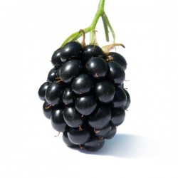 The adventure begins